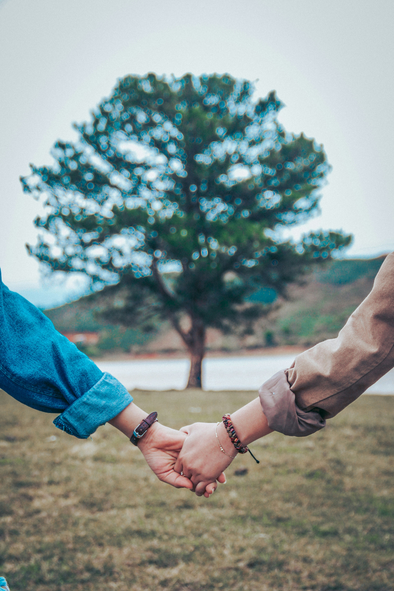 Behavioral Science Behind Attachment